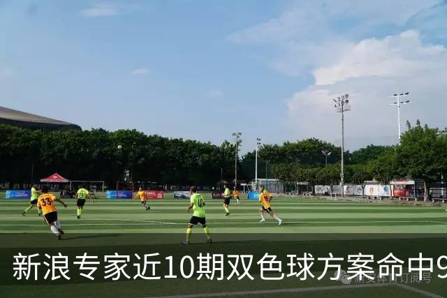 新浪专家近10期双色球方案命中9注头奖!共揽8717万